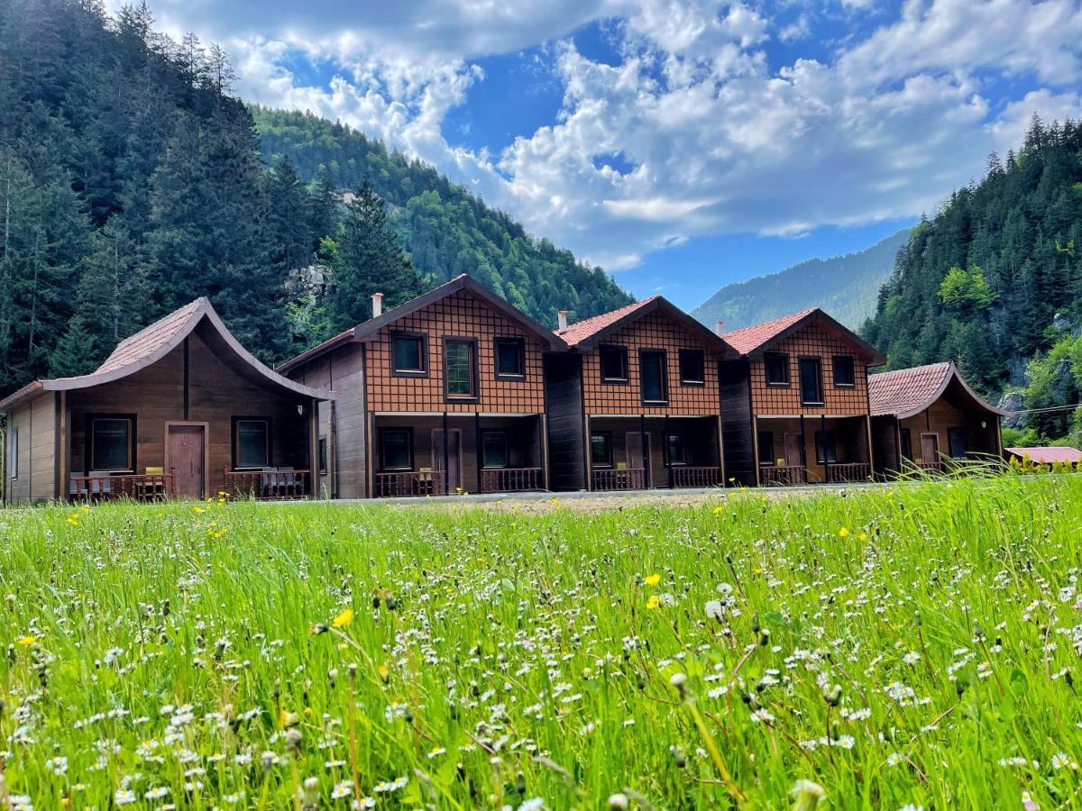 Raha Villa Bungalow Uzungöl Εξωτερικό φωτογραφία