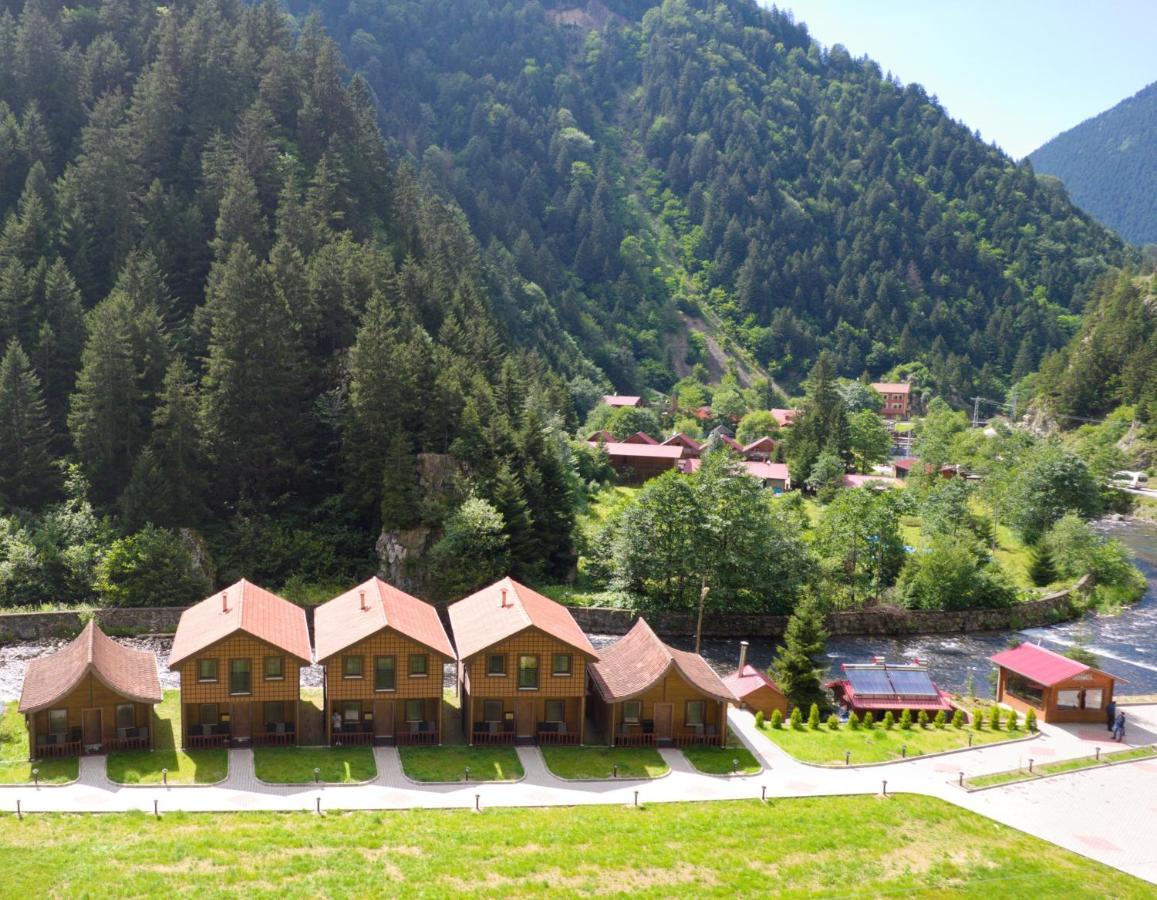 Raha Villa Bungalow Uzungöl Εξωτερικό φωτογραφία