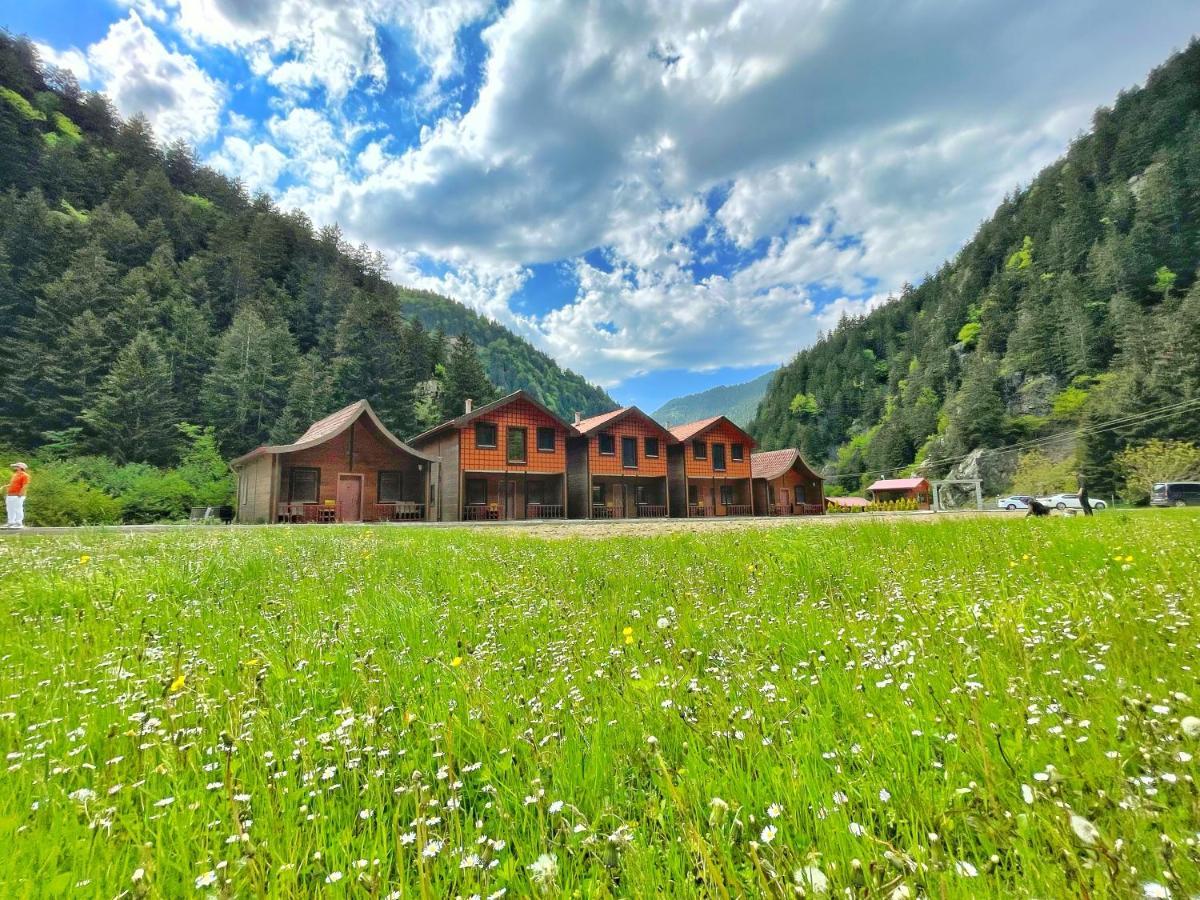 Raha Villa Bungalow Uzungöl Εξωτερικό φωτογραφία